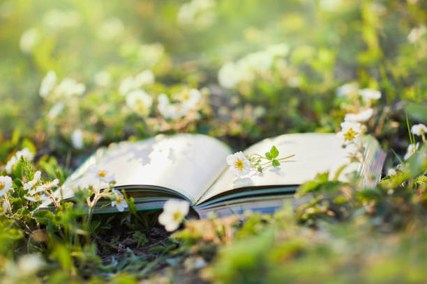 Find Your Sanctuary: The Ultimate Guide to Comfort By Nature