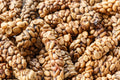 Coffee "Kopi" Luwak